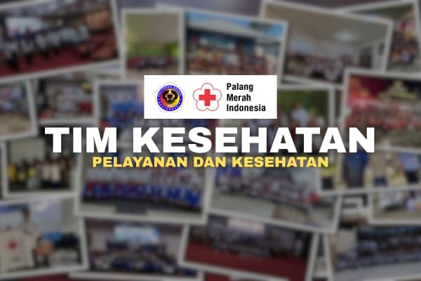 Tim Kesehatan